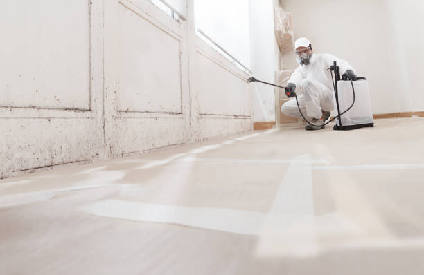 24/7 Emergency Basement Mold Remediation experts in Butler, PA